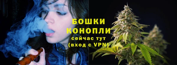 сатива Абдулино